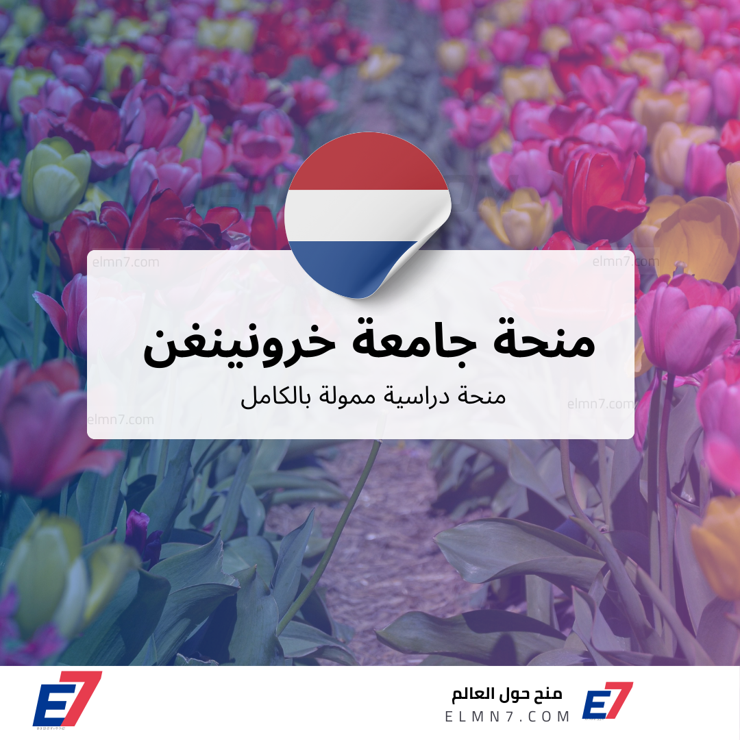 منحة جامعة خرونينغن