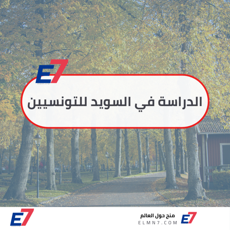 الدراسة في السويد للتونسيين