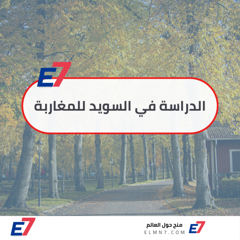 الدراسة في السويد للمغاربة